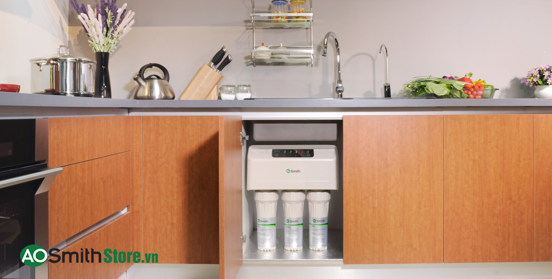 Hình ảnh thực tế Máy lọc nước Aosmith AR600-C-S-1