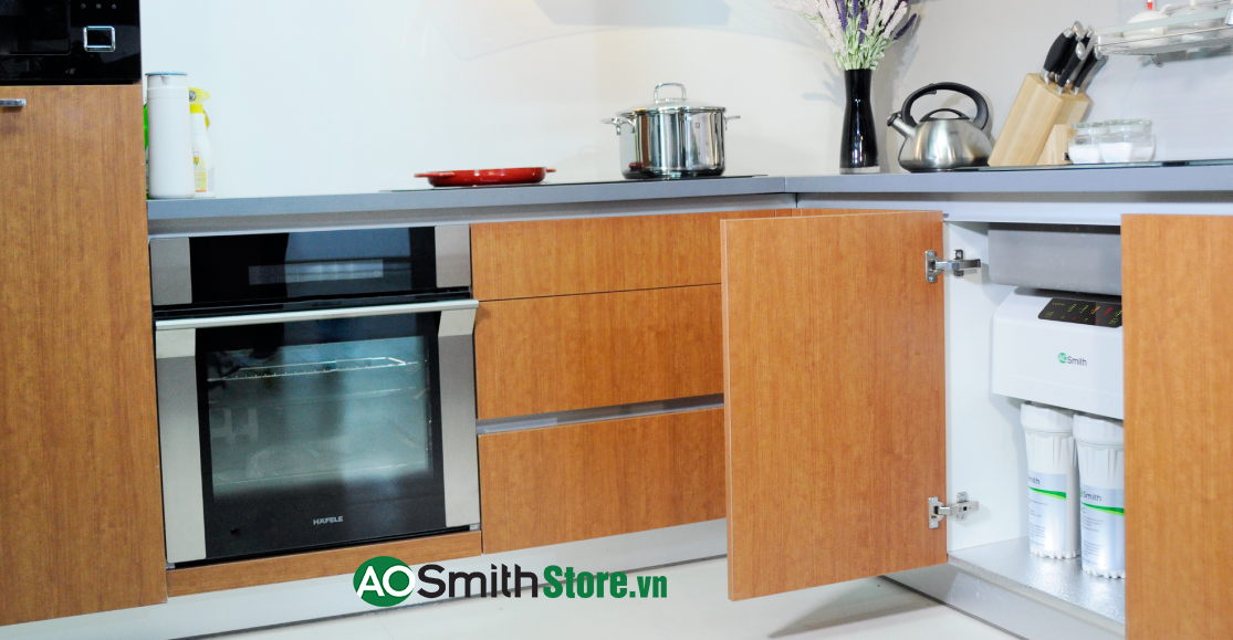 Hình ảnh thực tế Máy lọc nước Aosmith AR600-C-S-1