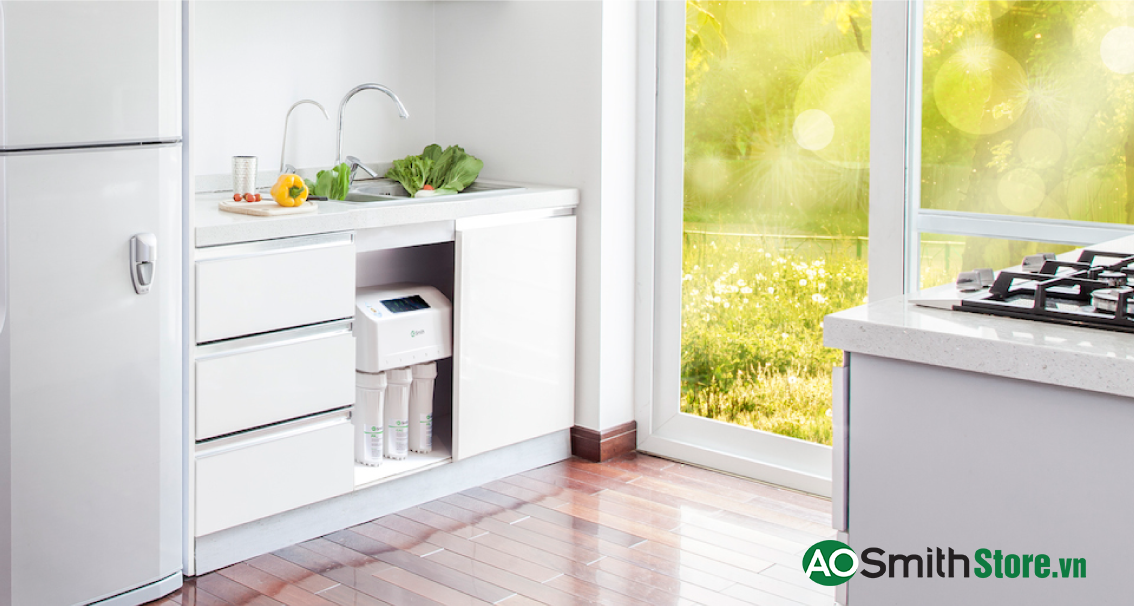 Hình ảnh thực tế Máy lọc nước Aosmith AR600-C-S-1