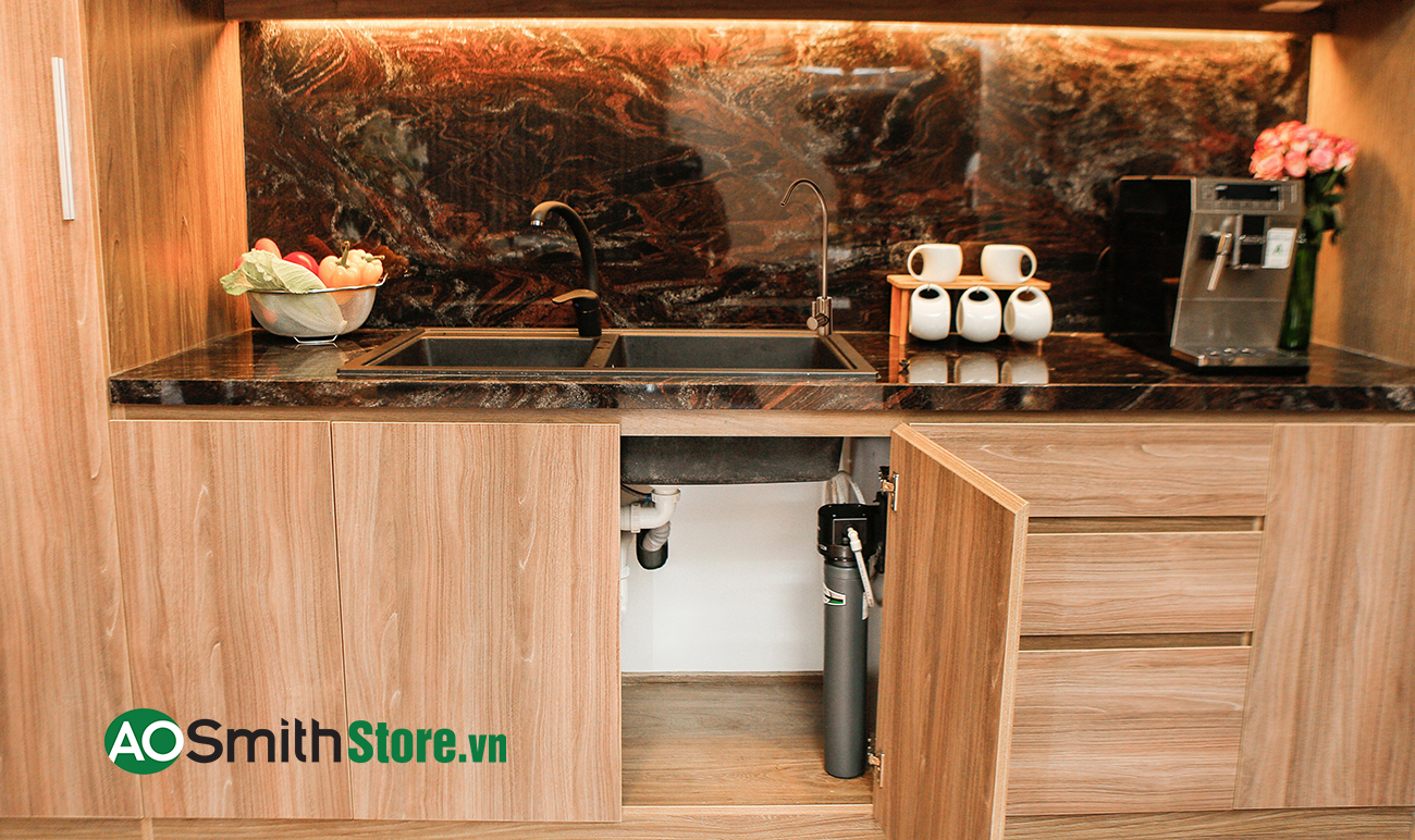 Máy Lọc Nước Aosmith Micro Filter AO-MF-ADV